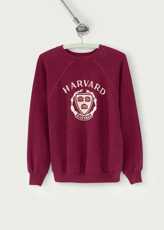 1980s Vintage Champion Harvard University Sweater