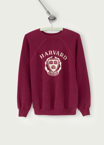 1980s Vintage Champion Harvard University Sweater
