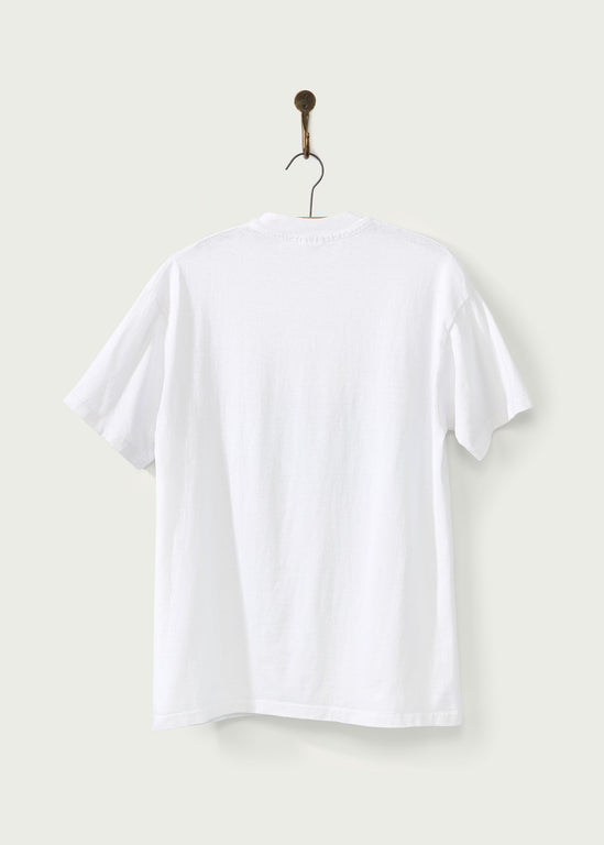 Vintage 1996 Colorado Aids Walk T-Shirt