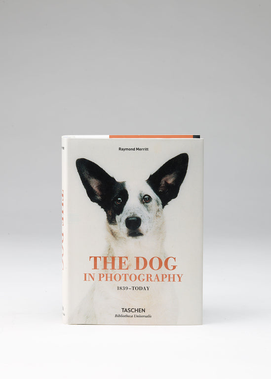The Dog In Photography 1983 - Today